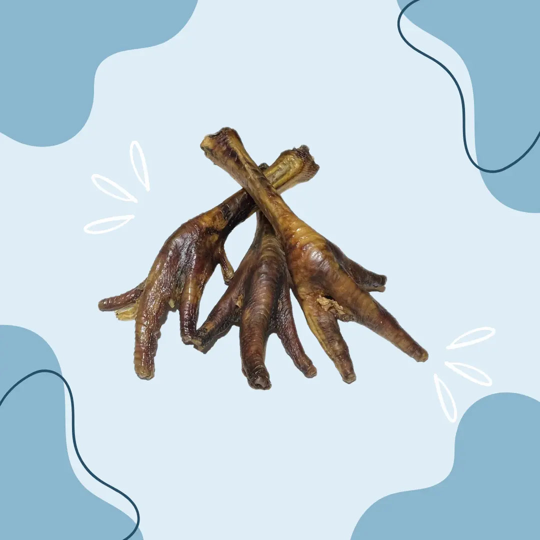 Patte de dinde MasticDog