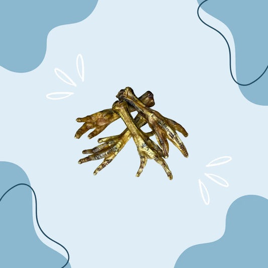 Patte de poulet MasticDog