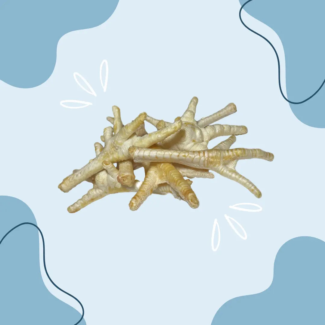 Patte de poulet soufflée MasticDog