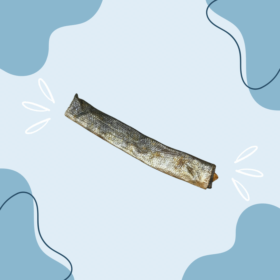 Peau de Saumon MasticDog