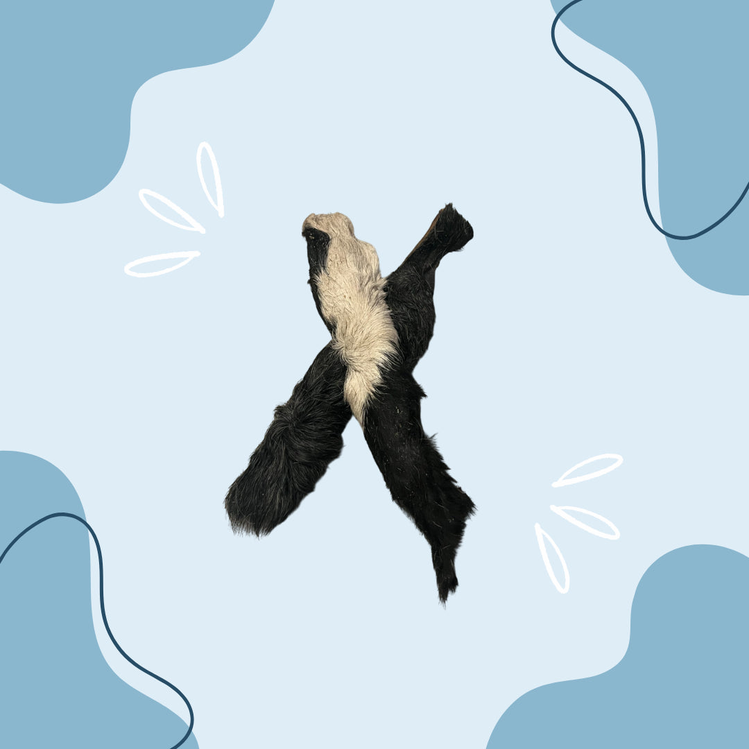 Peau de bœuf avec poils longue MasticDog