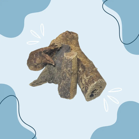 Poumon de chameau MasticDog
