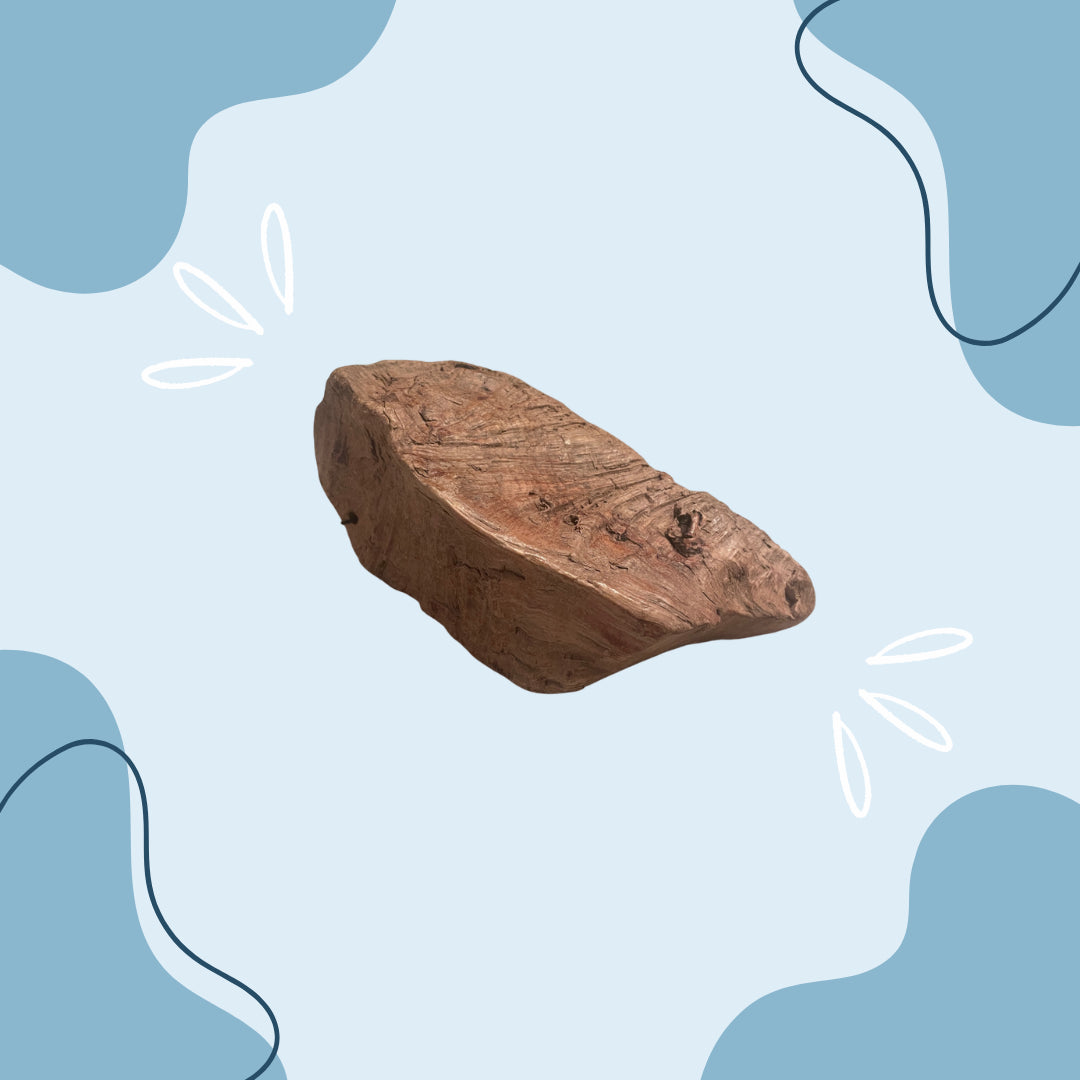 Racine de Bruyère MasticDog