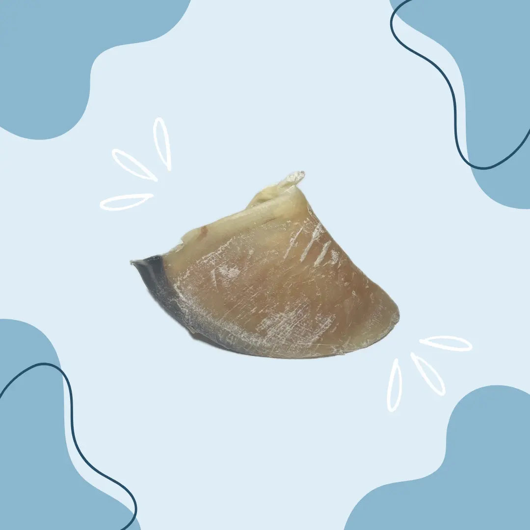 Sabot de veau - MasticDog