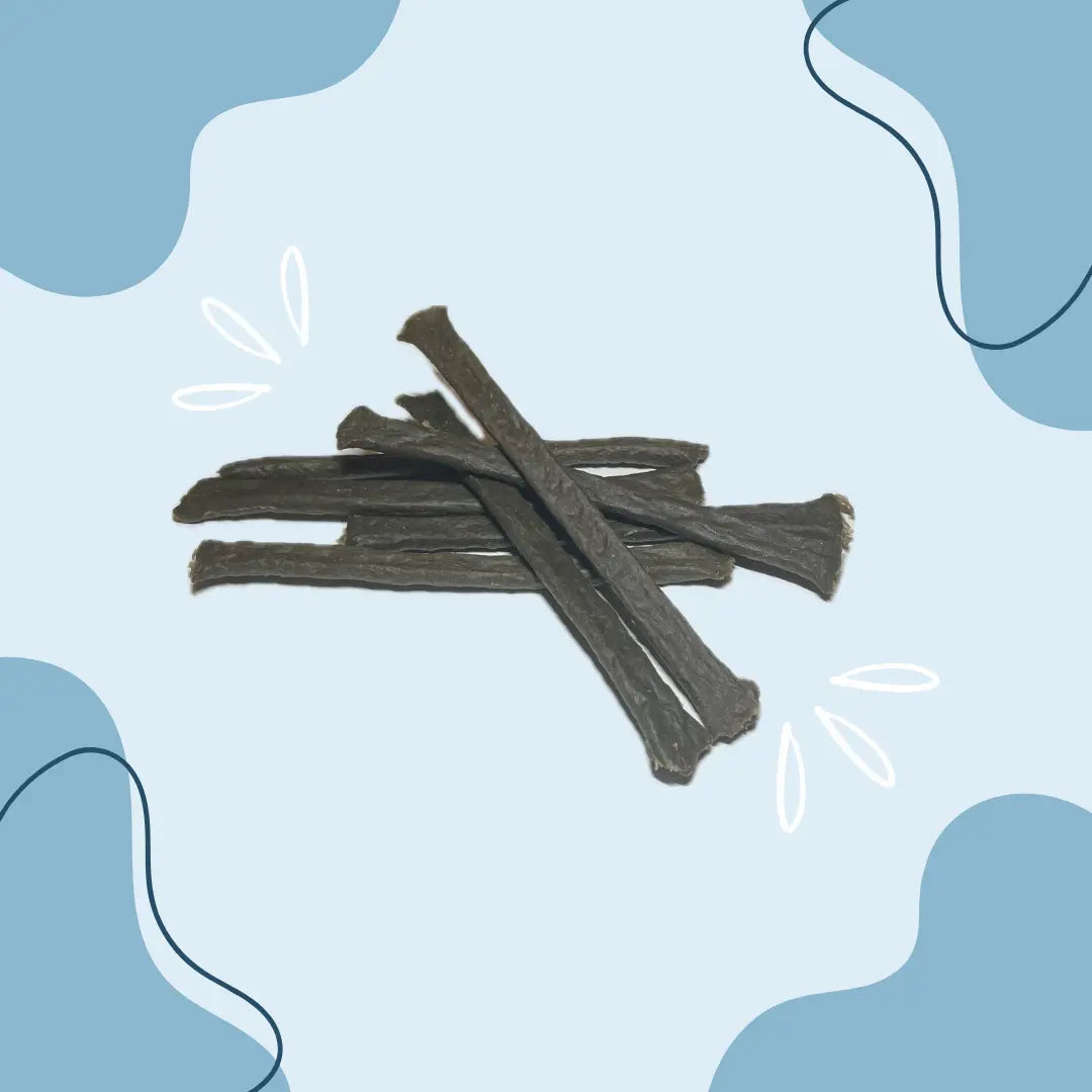 Stick de bar MasticDog