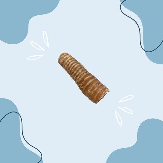 Trachée de Bœuf 15 cm MasticDog