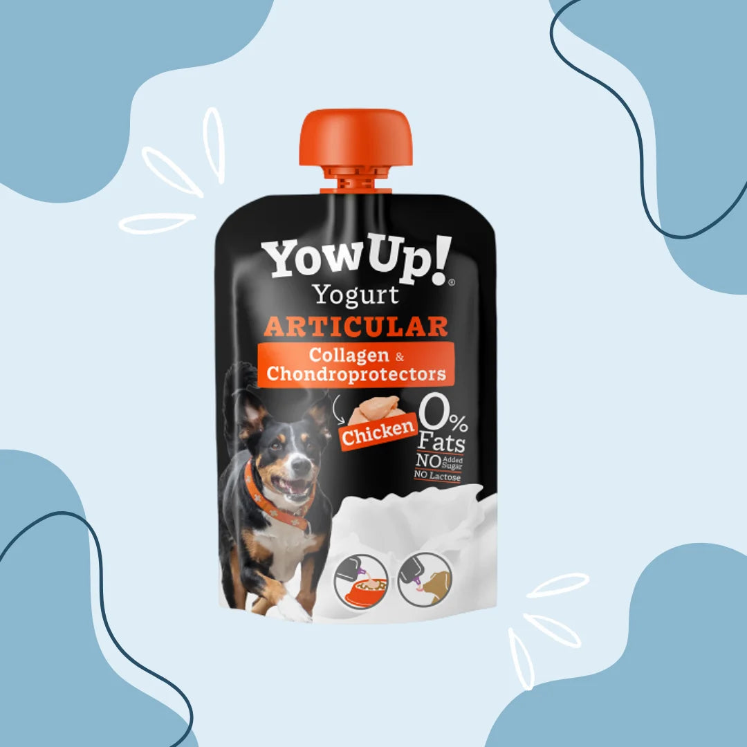 Yaourt YowUp Articulation au poulet