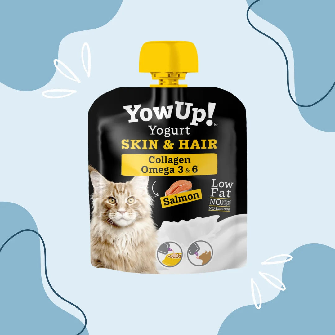 Yaourt YowUp chat peau et pelage saumon