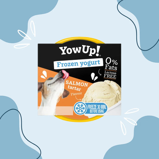 Yaourt glacé Yow Up tartare de saumon