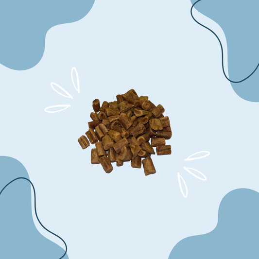 Friandise de Saumon MasticDog